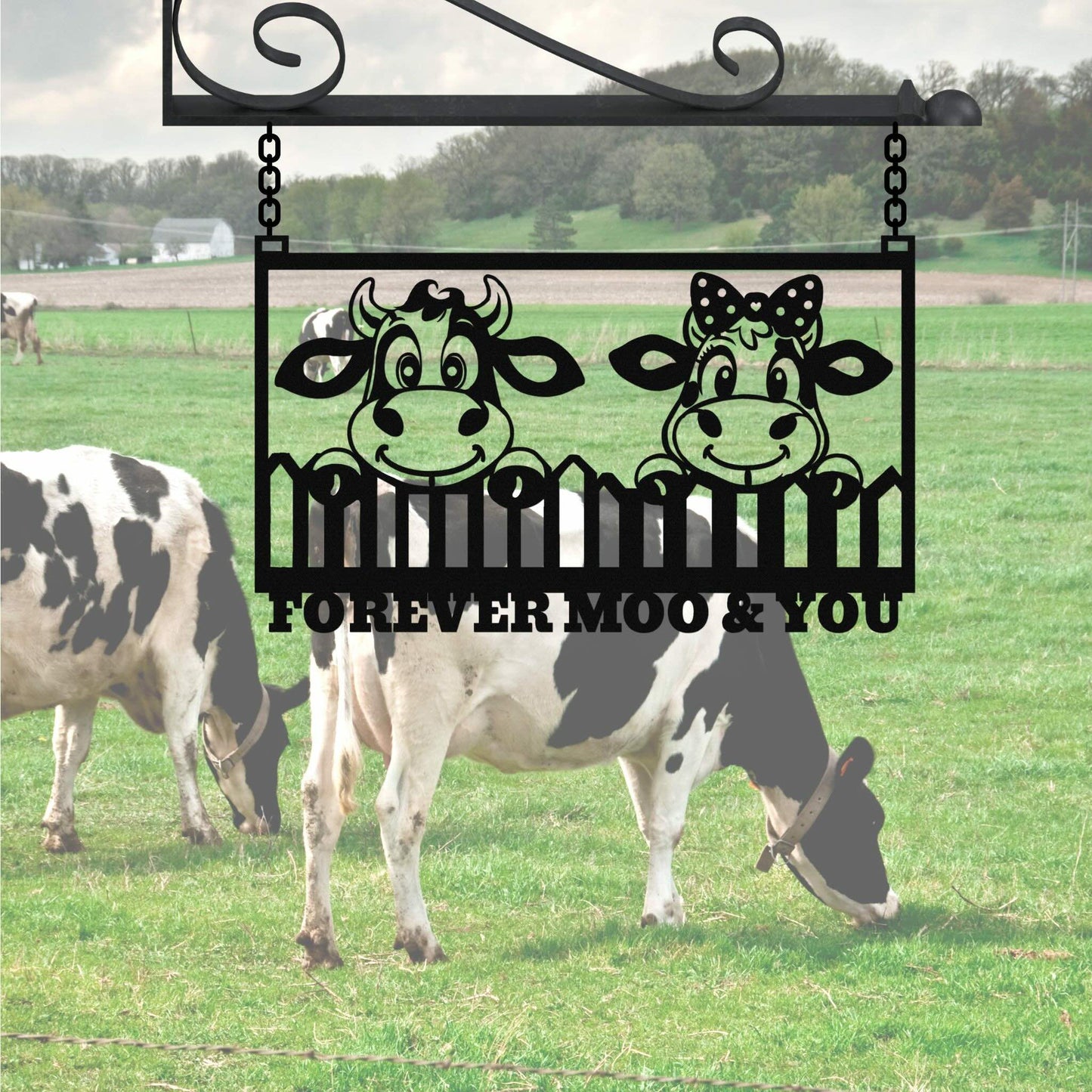 Forever Moo & You
