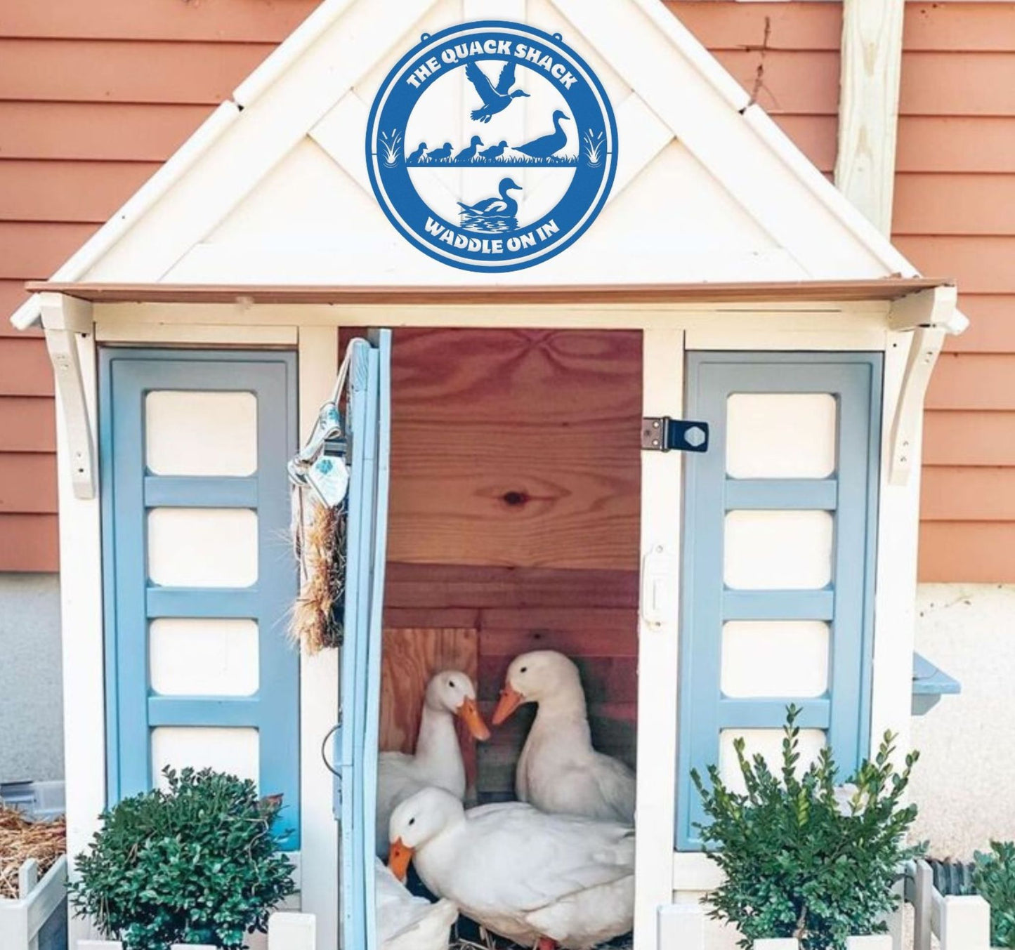 The Quack Shack - Waddle On In
