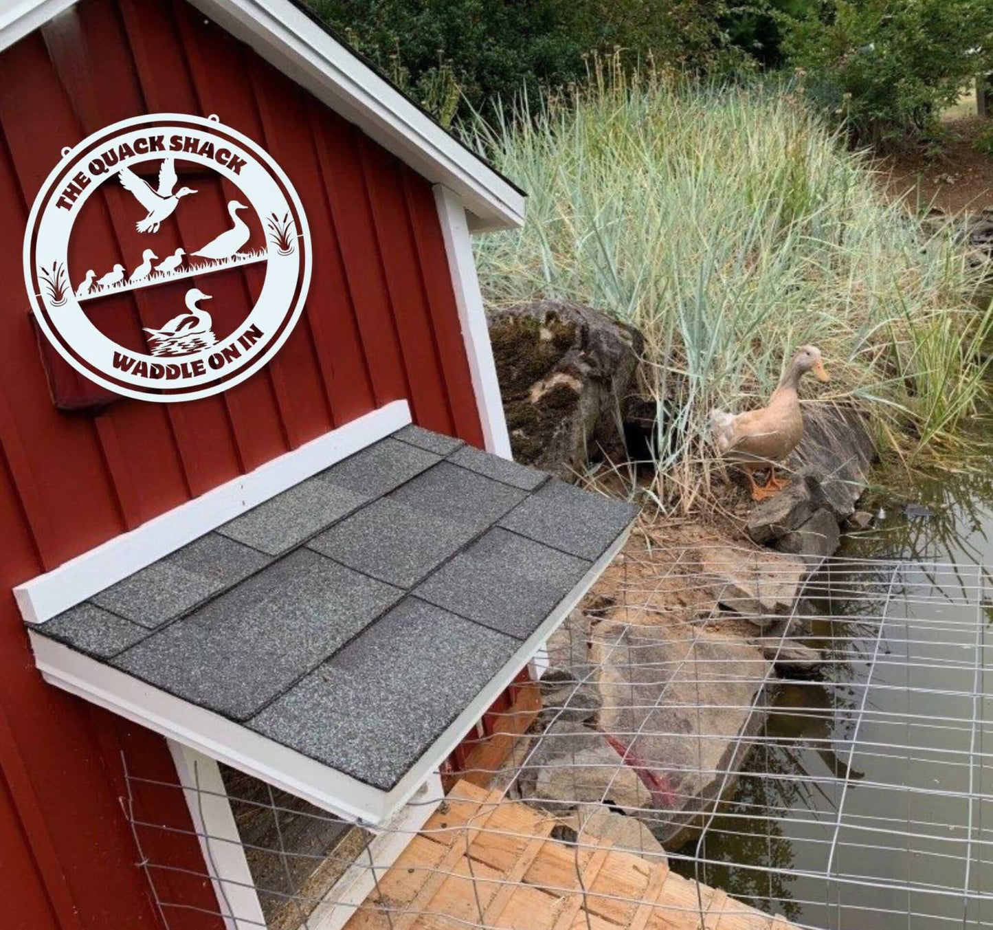 The Quack Shack - Waddle On In