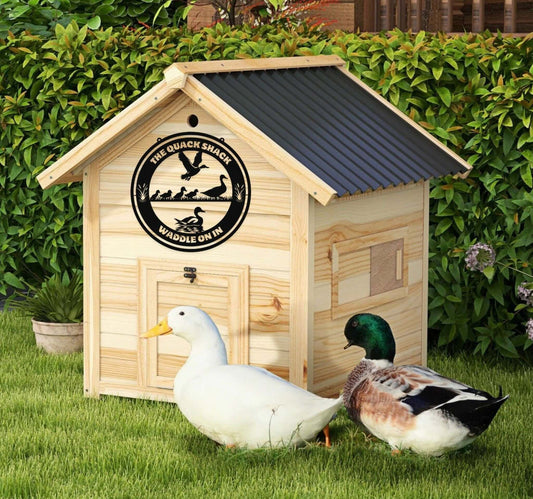 The Quack Shack - Waddle On In