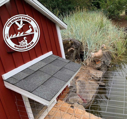 The Quack Shack - Waddle On In